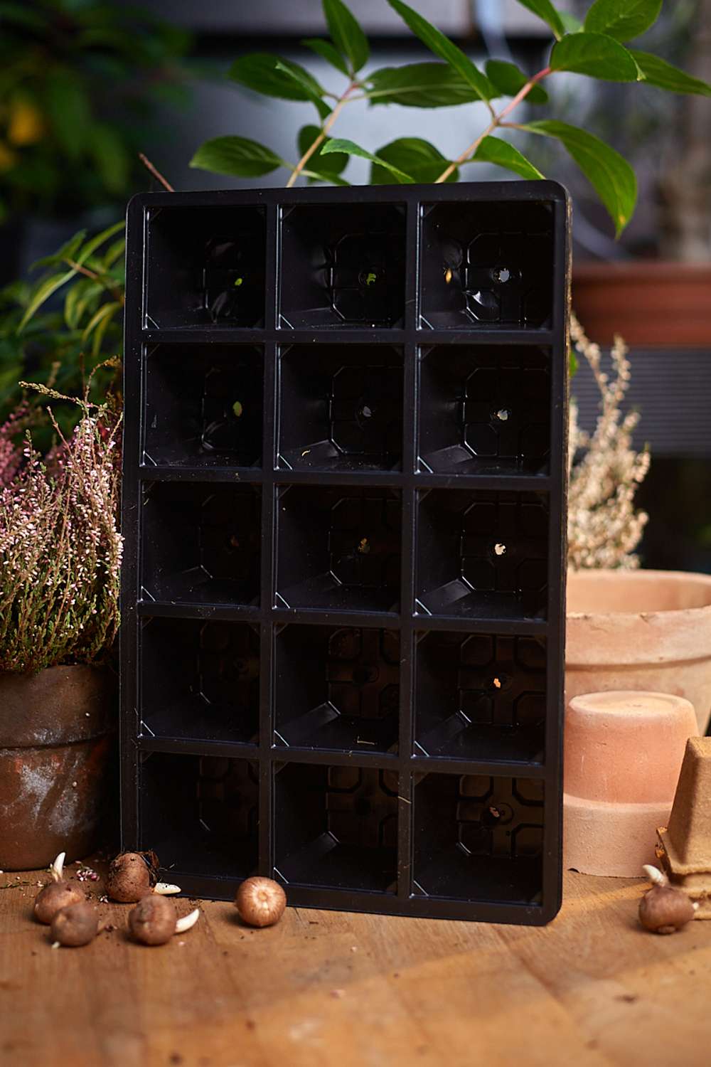 Såbakke m. 15 celler, 5 stk.